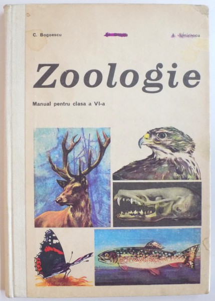 ZOOLOGIE, MANUAL PENTRU CLASA A VI - A de C. BOGOESCU, AL. DABITA, A. STOICESCU, 1978