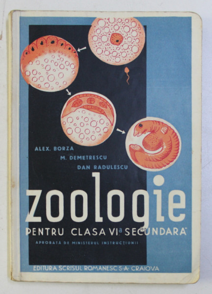 ZOOLOGIE PENTRU CLASA A VI -A SECUNDARA de ALEX . BORZA ...DAN RADULESCU , 1935